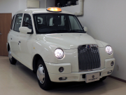 The London Taxi Company