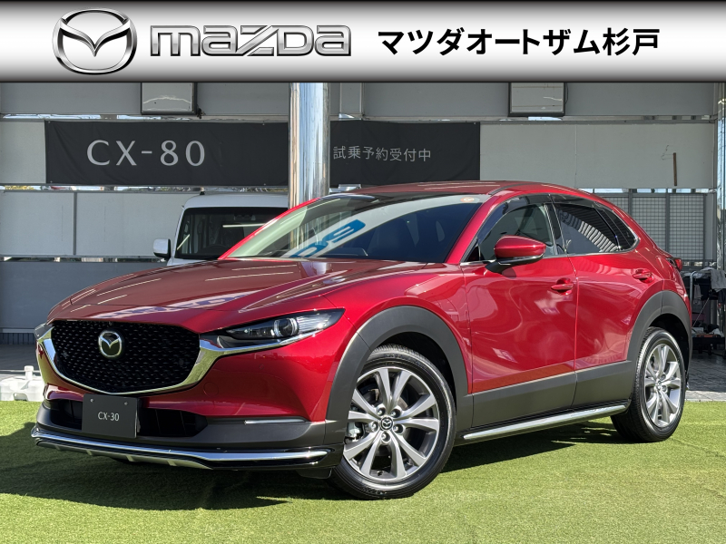 マツダ CX-30 XDプロアクティブツーリングセレクション　シグネチャースタイル　ブラックレザーPKG　360°セーフティPKG　ナビTV　ETC2.0　前後ドラレコ