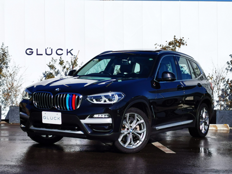 BMW X3 xドライブ20d xライン　ハイラインPkg セレクトPkg ACC 360°カメラ サンルーフ harman/kardon 19インチAW リアシートアジャストメントドライビングアシストプラス ステアリングアシスト アダプティブLED 液晶メーター リアサイドブラインド